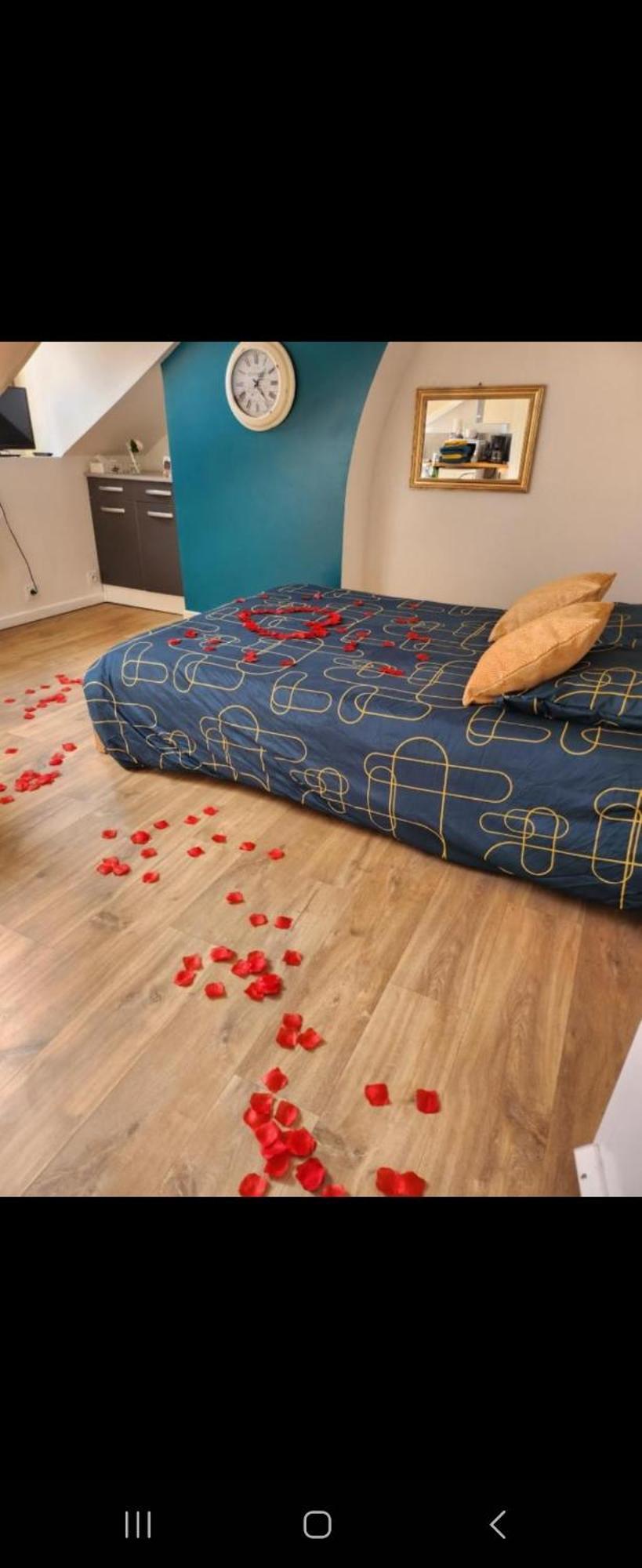 La Panthere Rose Apartment