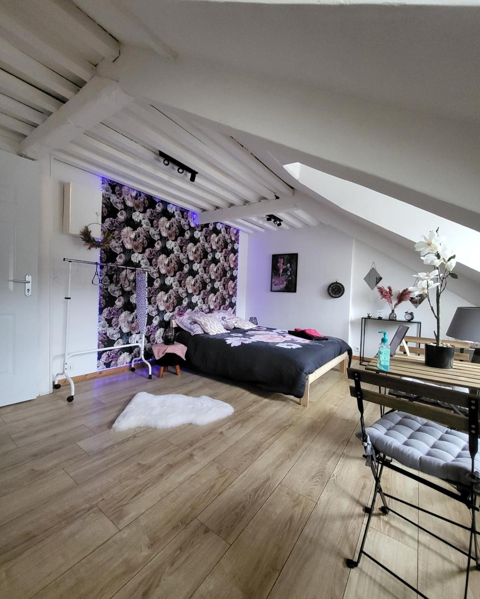 La Panthere Rose Apartment Honfleur