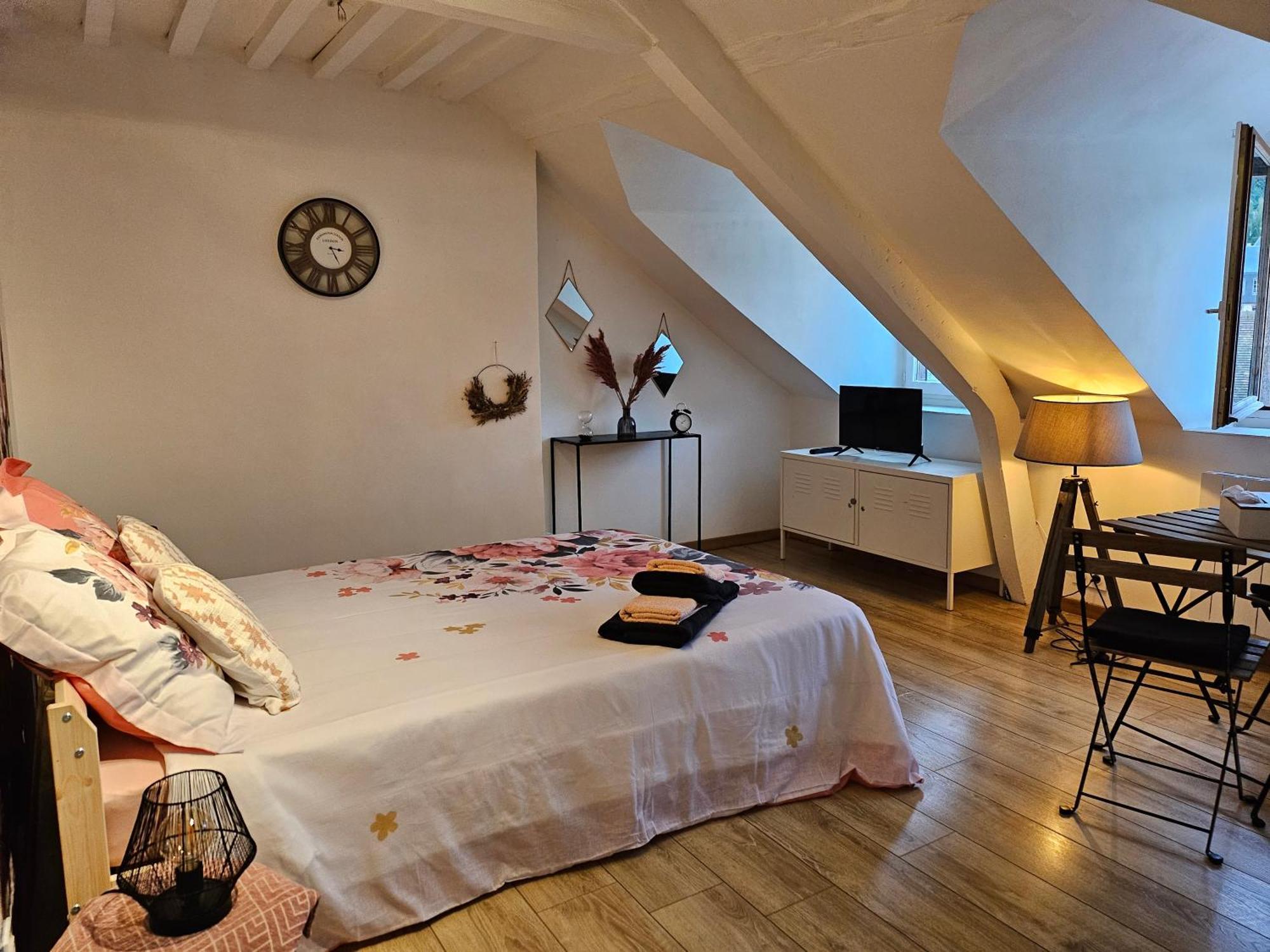 Apartment La Panthere Rose *
